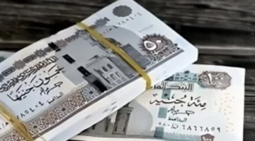 زيادة معاشات يناير 2026 تعزز الحماية الاجتماعية وتحسن دخل ملايين المستحقين 1